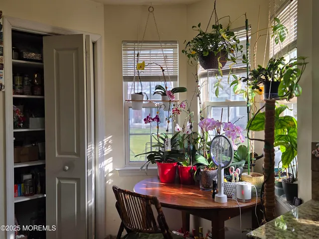 a view of a dining room with furniture and a potted plant