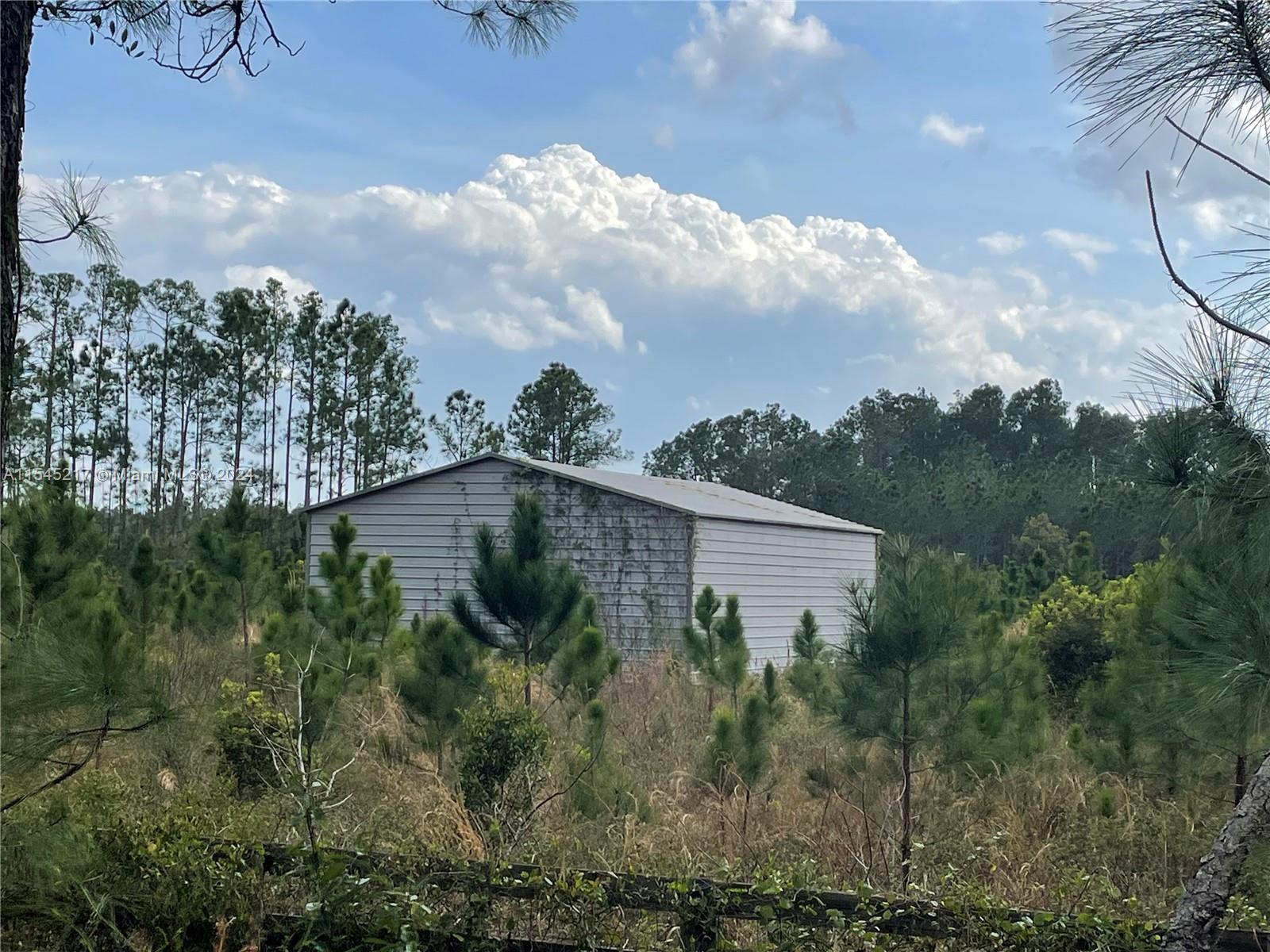 275 Olmstead Road Pierson, FL 32180 - Photo 4 of 12 Gallery Image 4