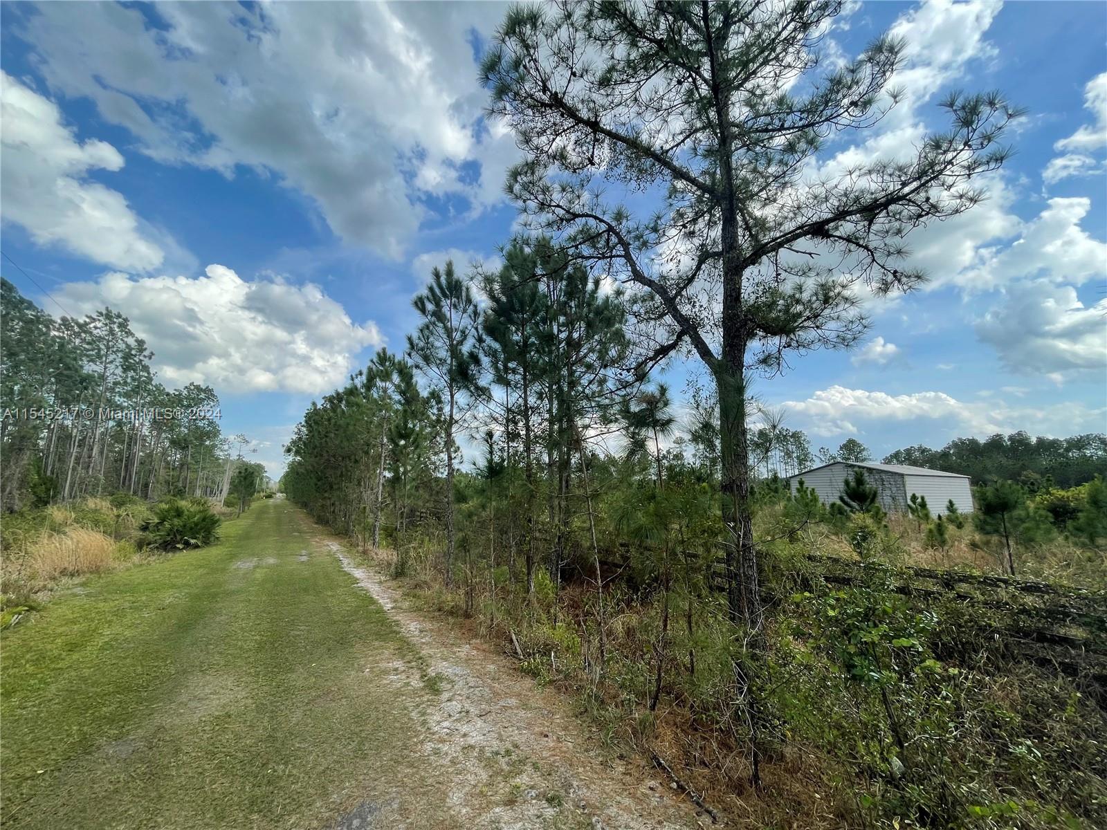 275 Olmstead Road Pierson, FL 32180 - Photo 6 of 12 Gallery Image 6