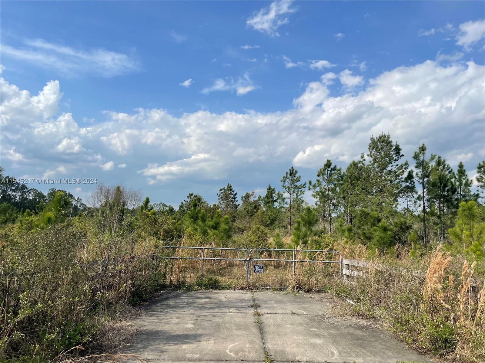 275 Olmstead Road Pierson, FL 32180 - Photo 8 of 12 Gallery Image 8