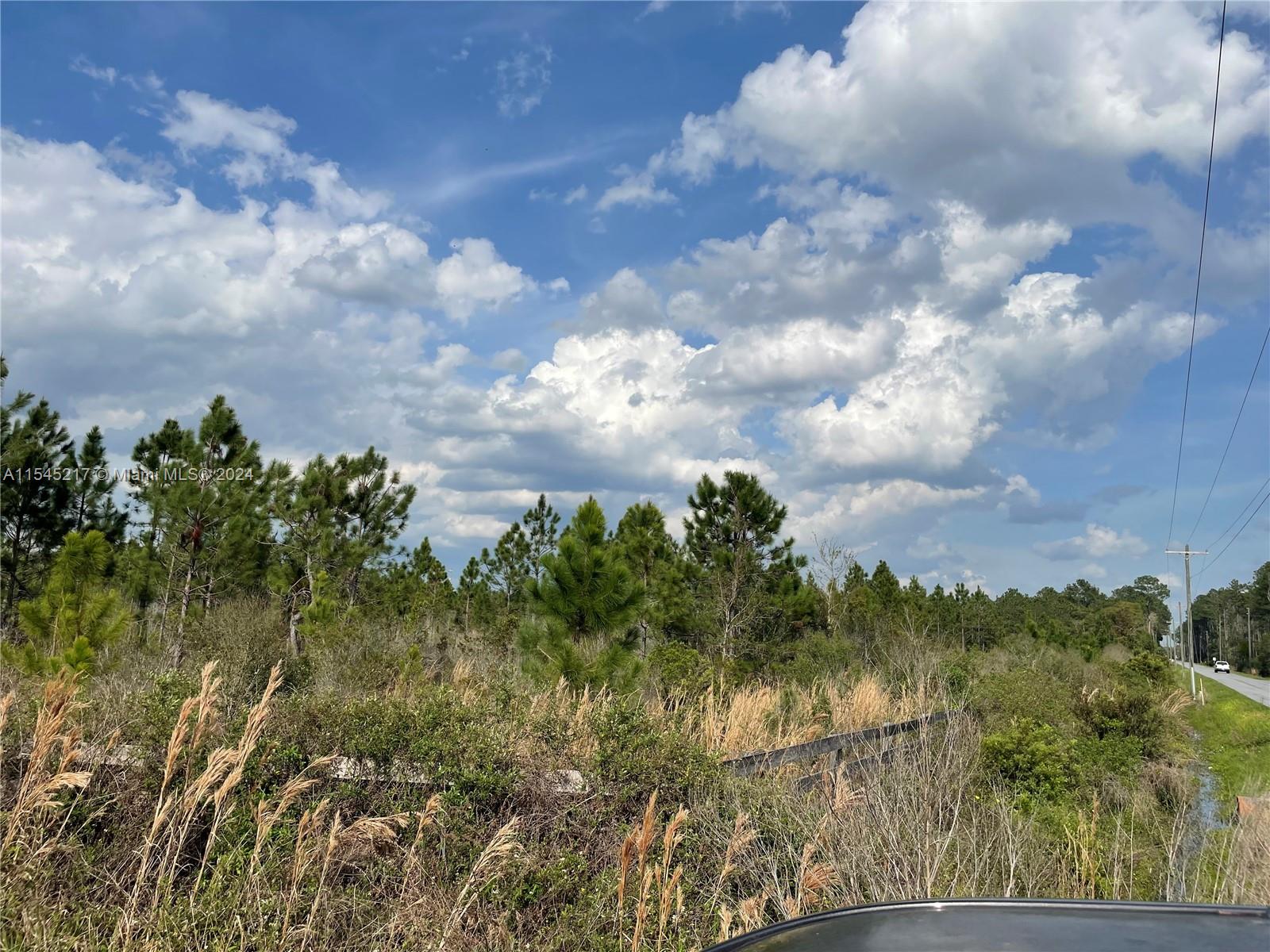 275 Olmstead Road Pierson, FL 32180 - Photo 9 of 12 Gallery Image 9