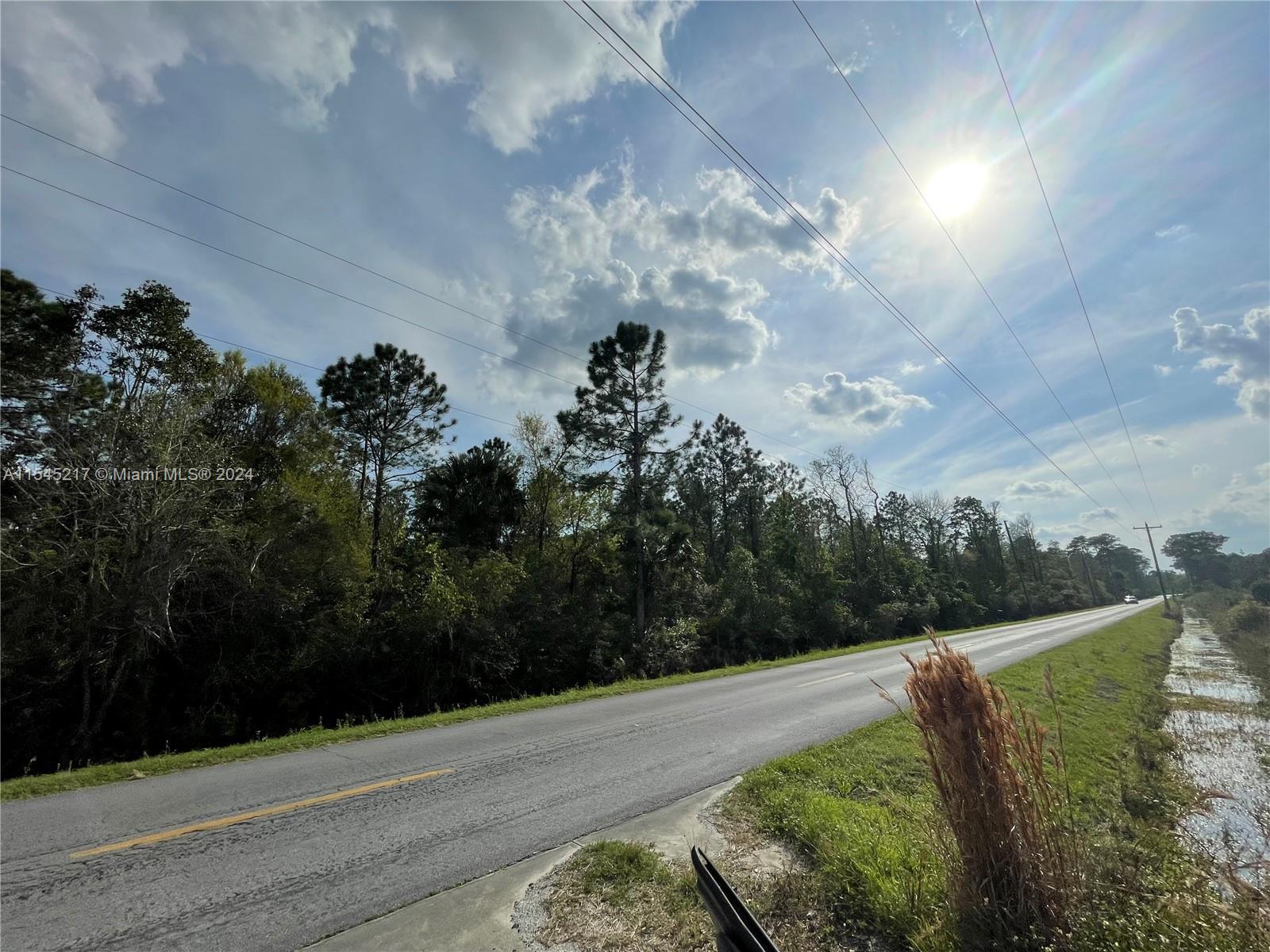 275 Olmstead Road Pierson, FL 32180 - Photo 10 of 12 Gallery Image 10