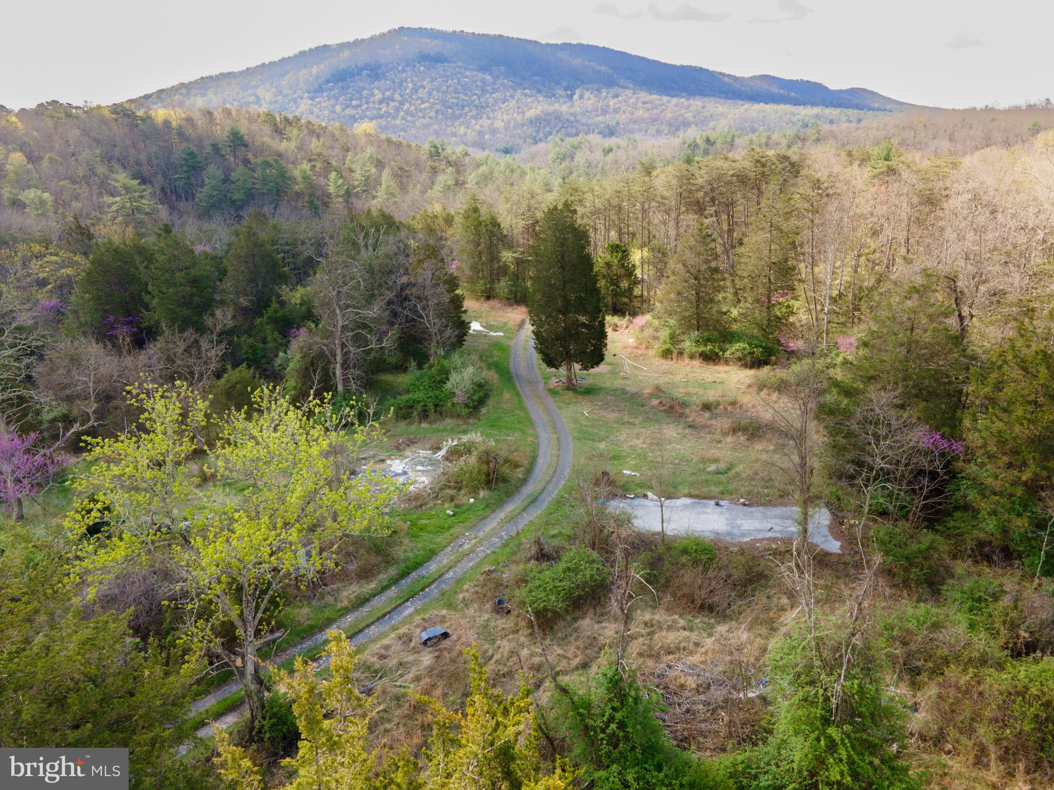 3336 Wolf Gap Road Edinburg, VA 22824 - Photo 11 of 11