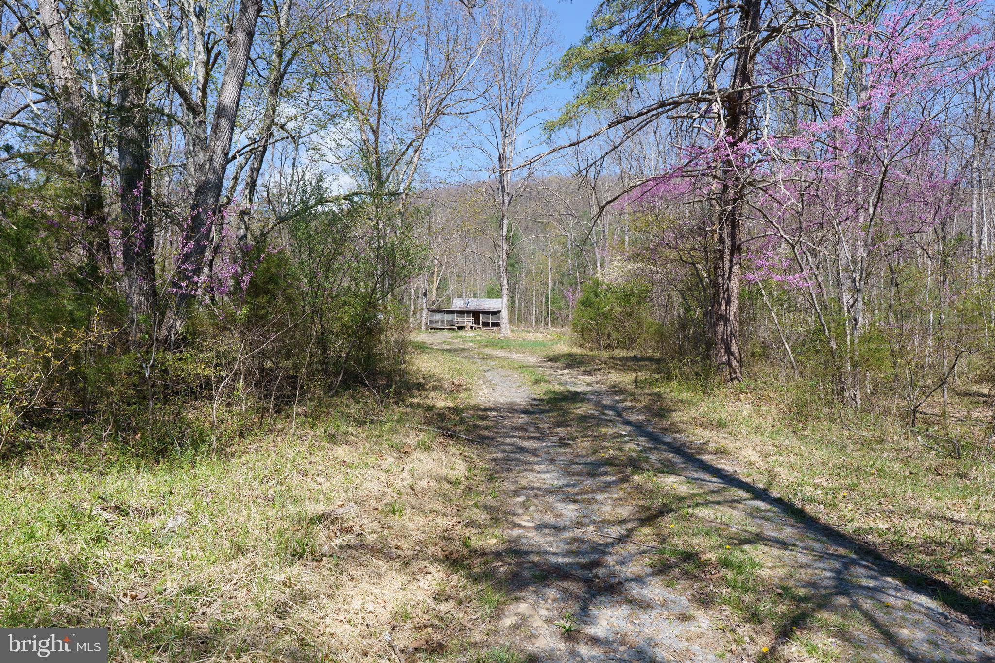 3336 Wolf Gap Road Edinburg, VA 22824 - Photo 3 of 11