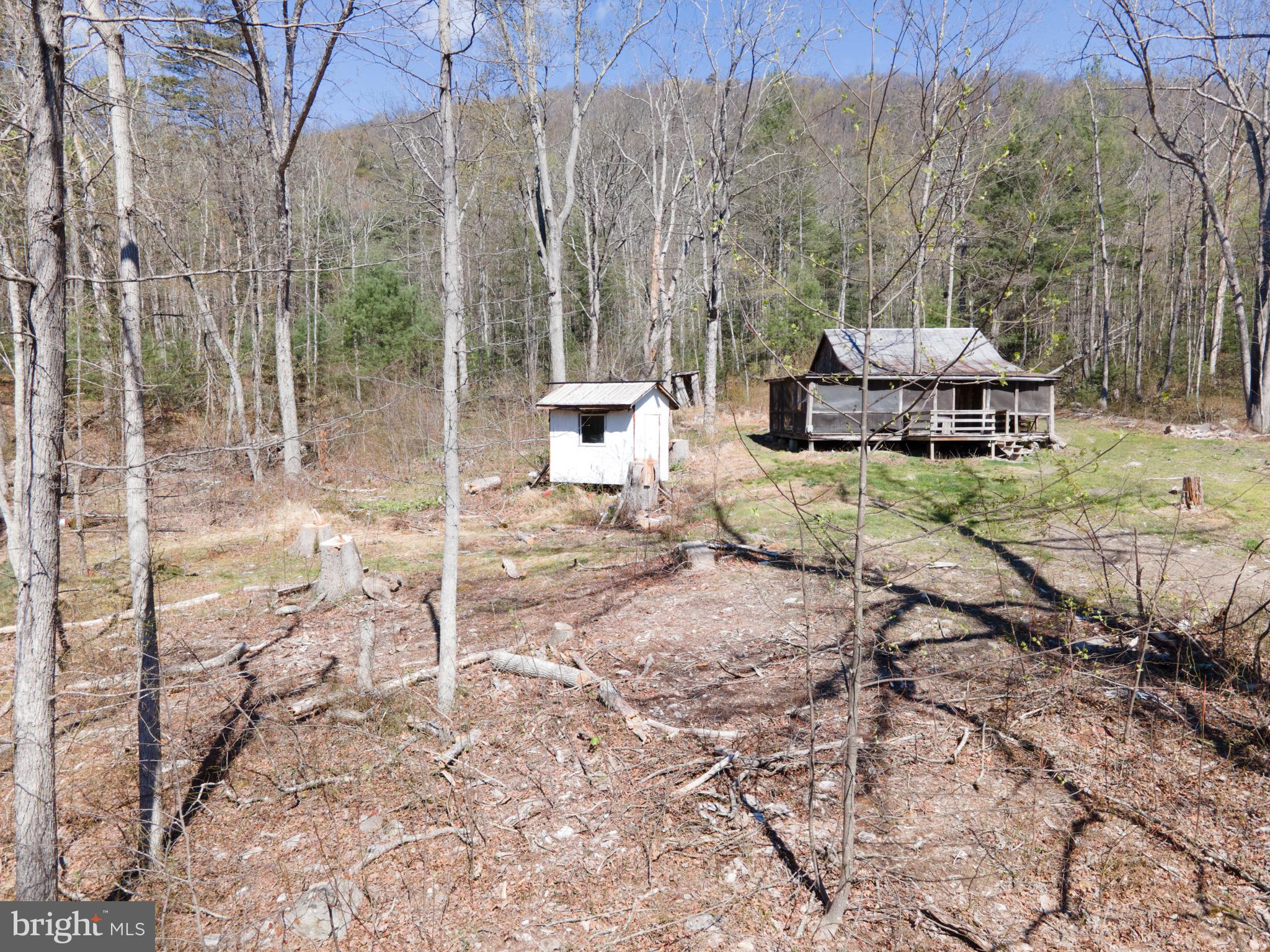 3336 Wolf Gap Road Edinburg, VA 22824 - Photo 4 of 11