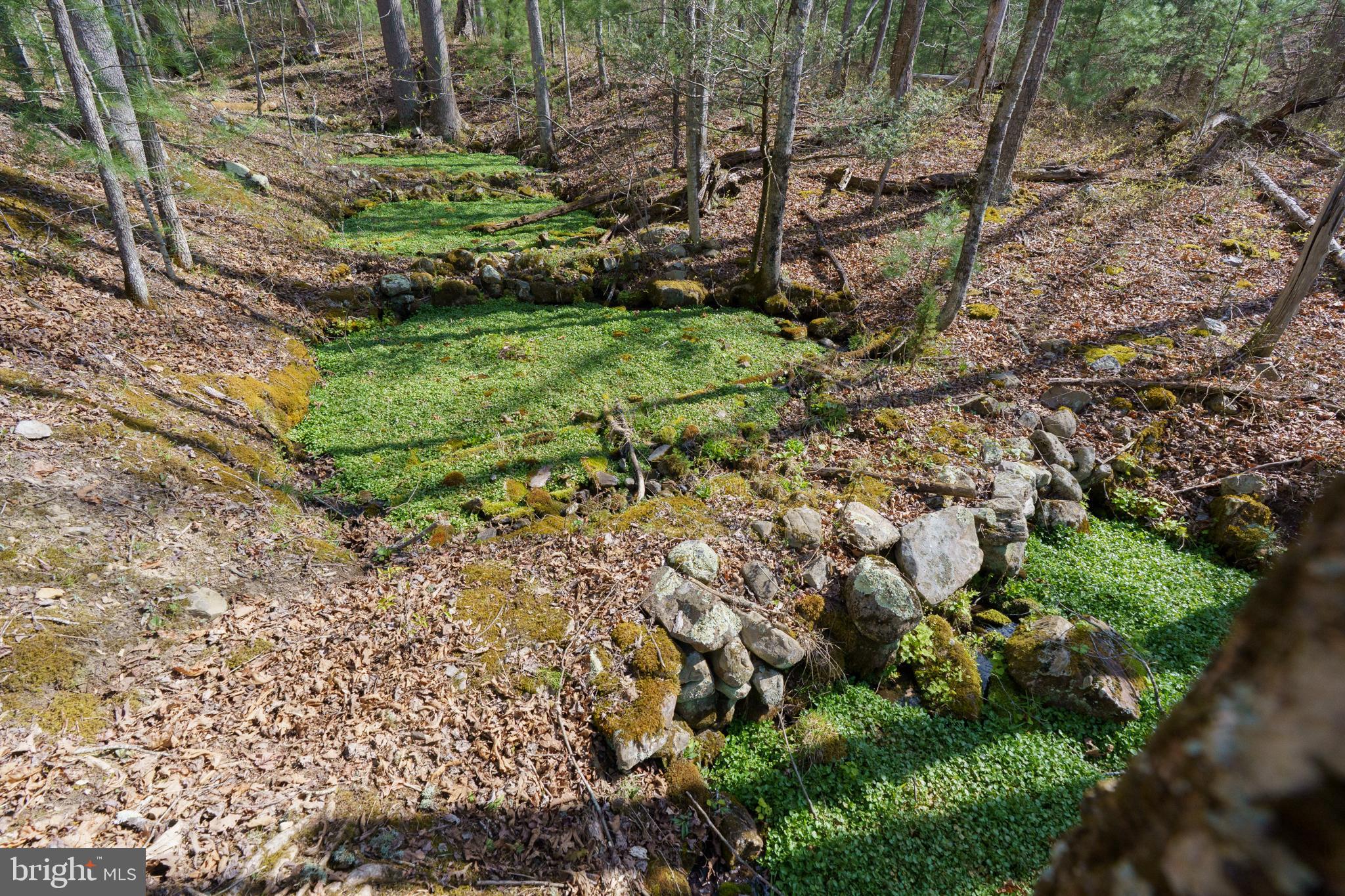 3336 Wolf Gap Road Edinburg, VA 22824 - Photo 8 of 11