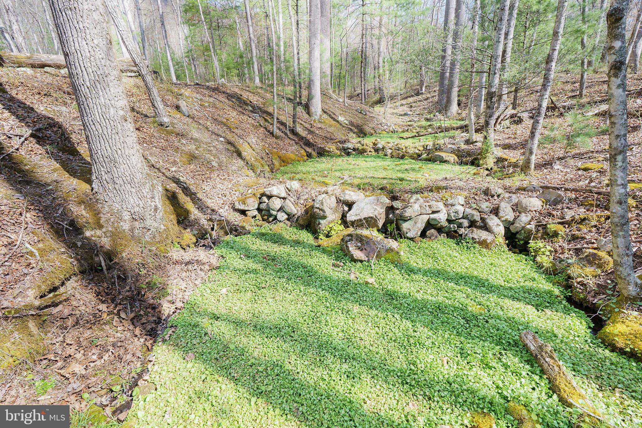 3336 Wolf Gap Road Edinburg, VA 22824 - Photo 9 of 11