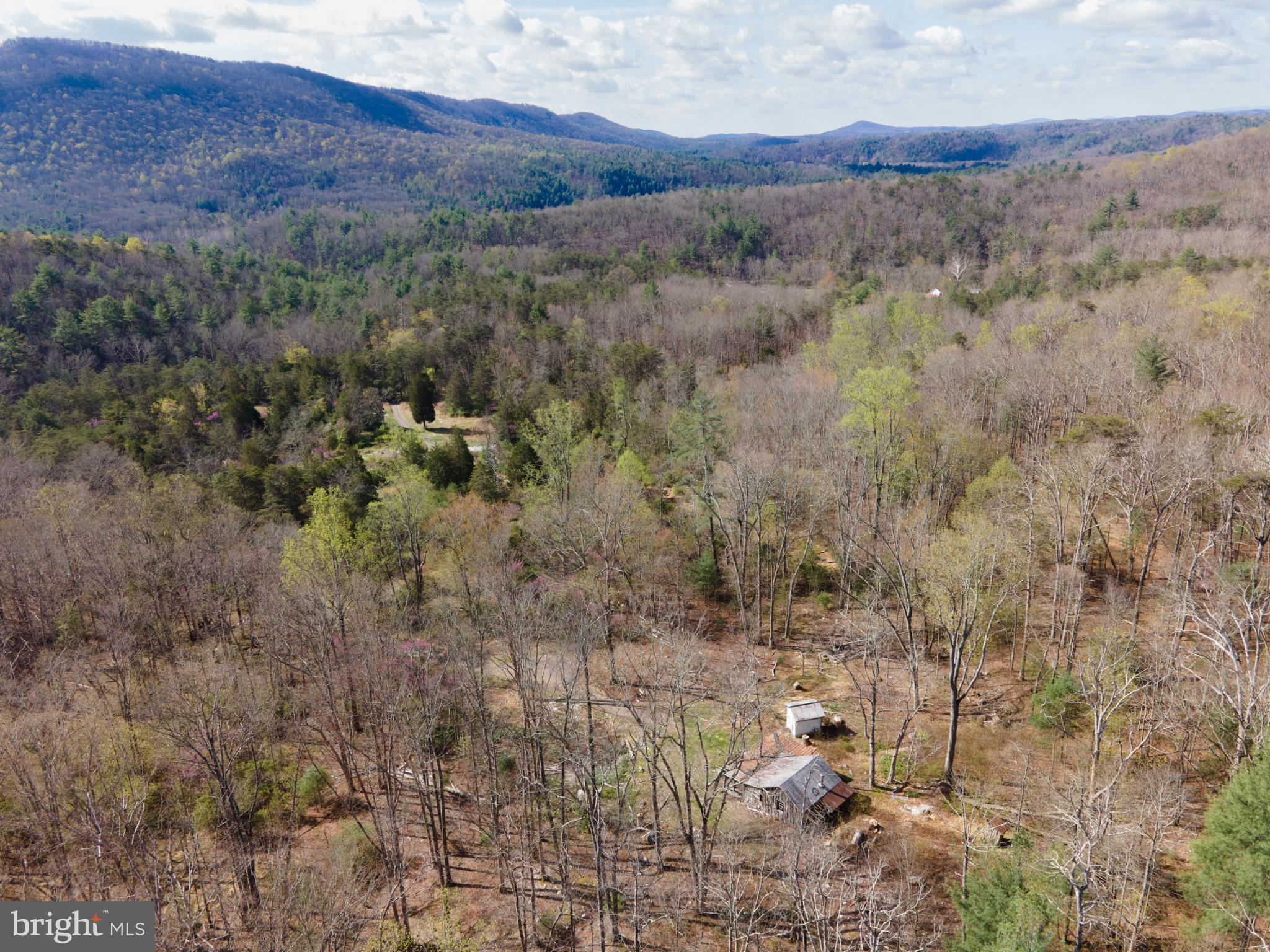 3336 Wolf Gap Road Edinburg, VA 22824 - Photo 10 of 11