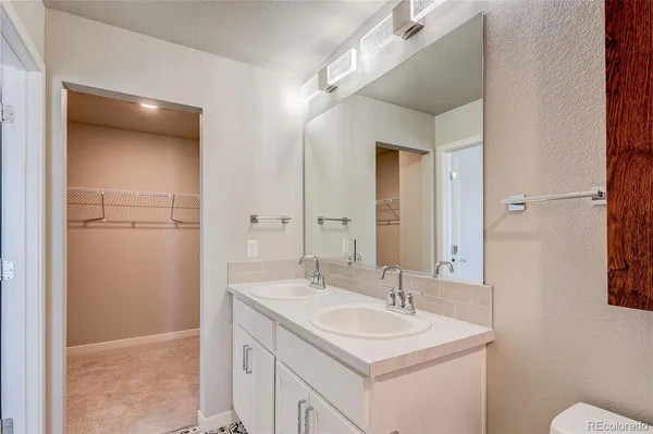 a bathroom with a sink and a toilet