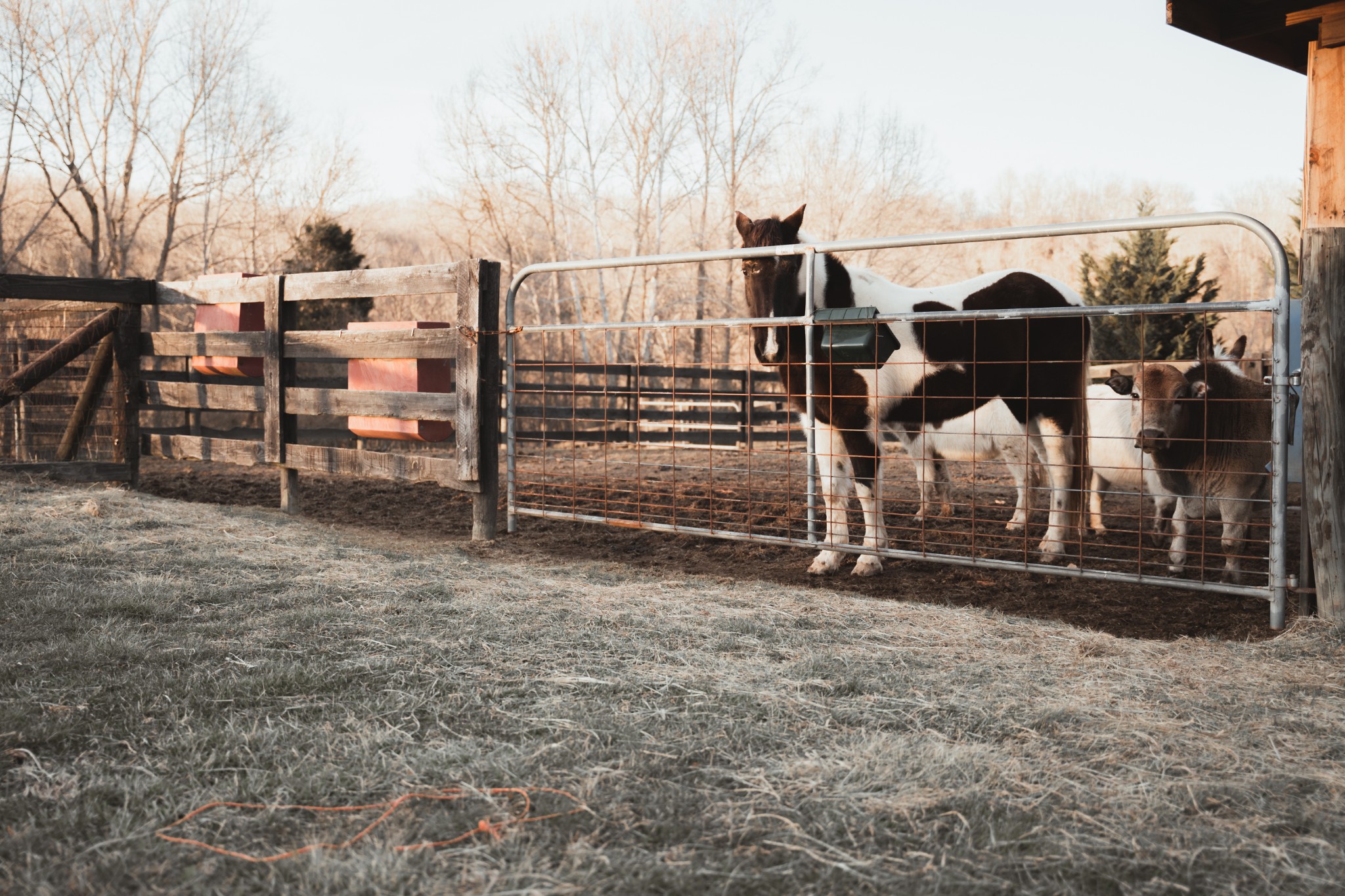 7515 Pewitt Road Franklin, TN 37064 - Photo 94 of 96