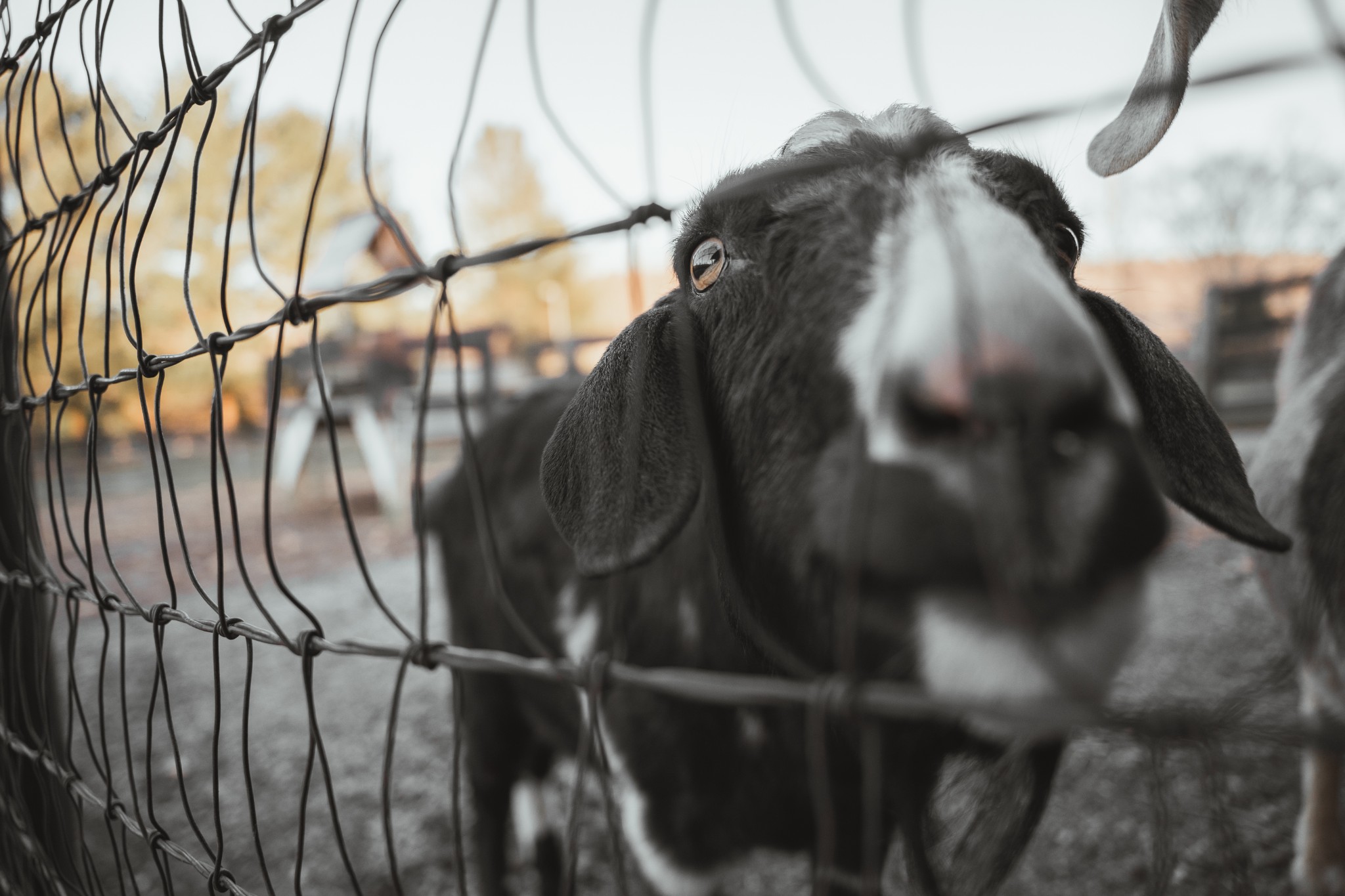 7515 Pewitt Road Franklin, TN 37064 - Photo 95 of 96