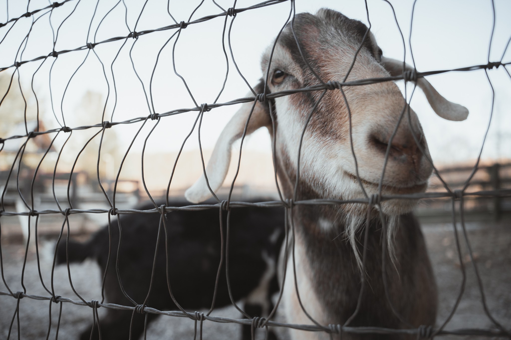 7515 Pewitt Road Franklin, TN 37064 - Photo 96 of 96