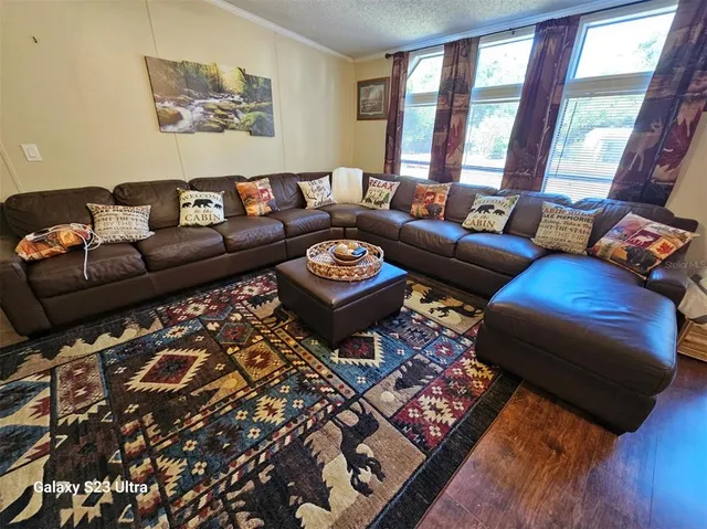 a living room with furniture and a rug
