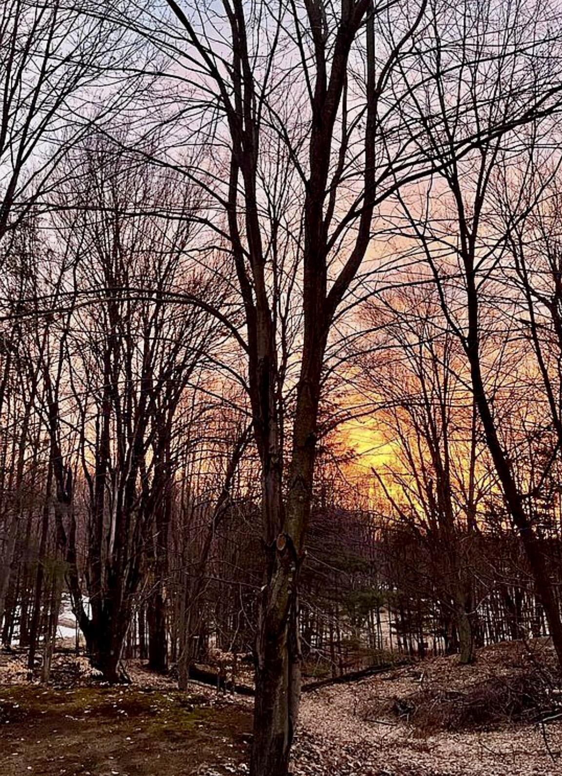 6361 South Outer Loop Drive Custer, MI 49405 - Photo 12 of 13 IMG_1663