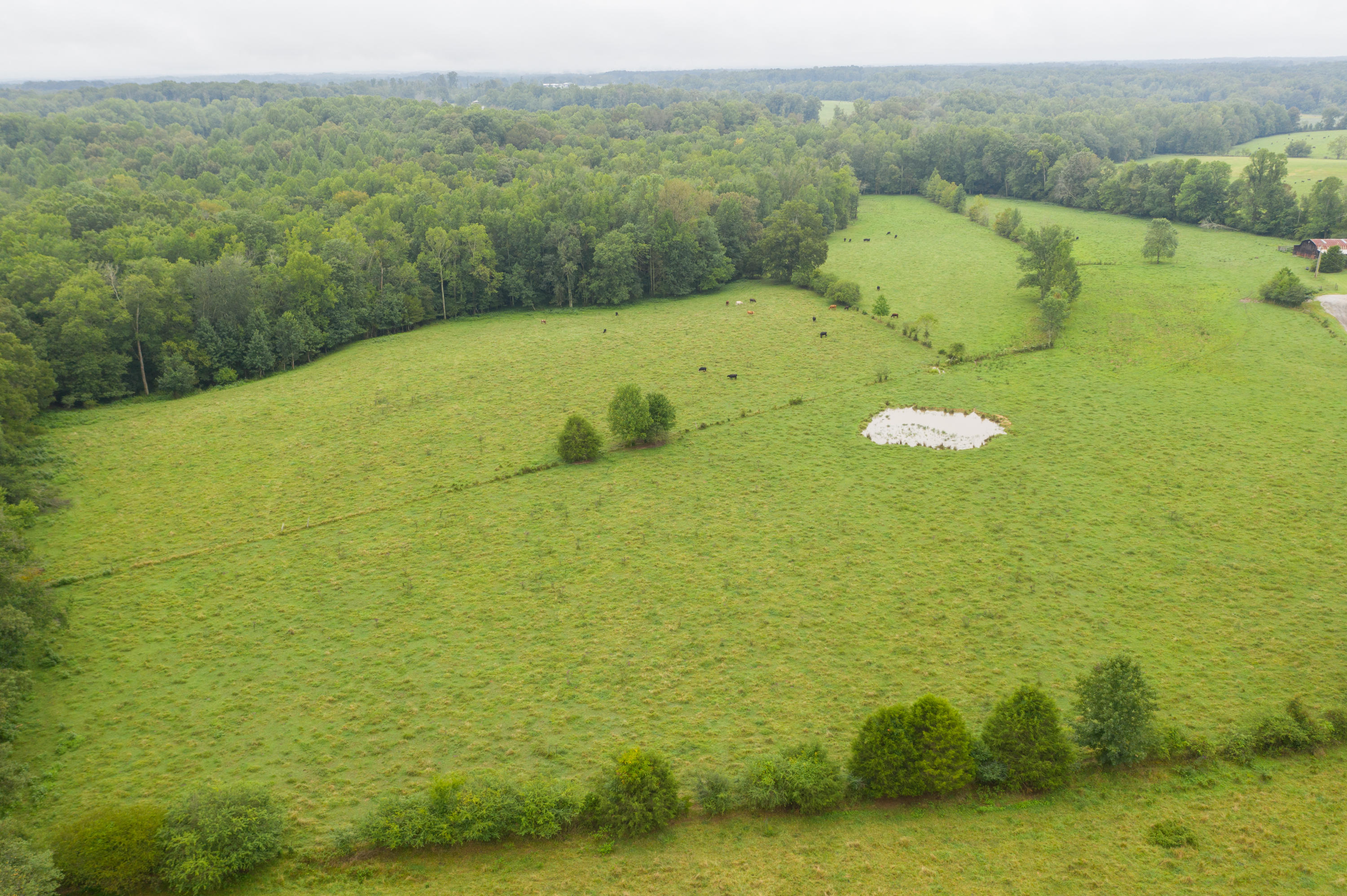Southwest Gentry Drive Baxter, TN 38544 - Photo 2 of 11 DJI_0450