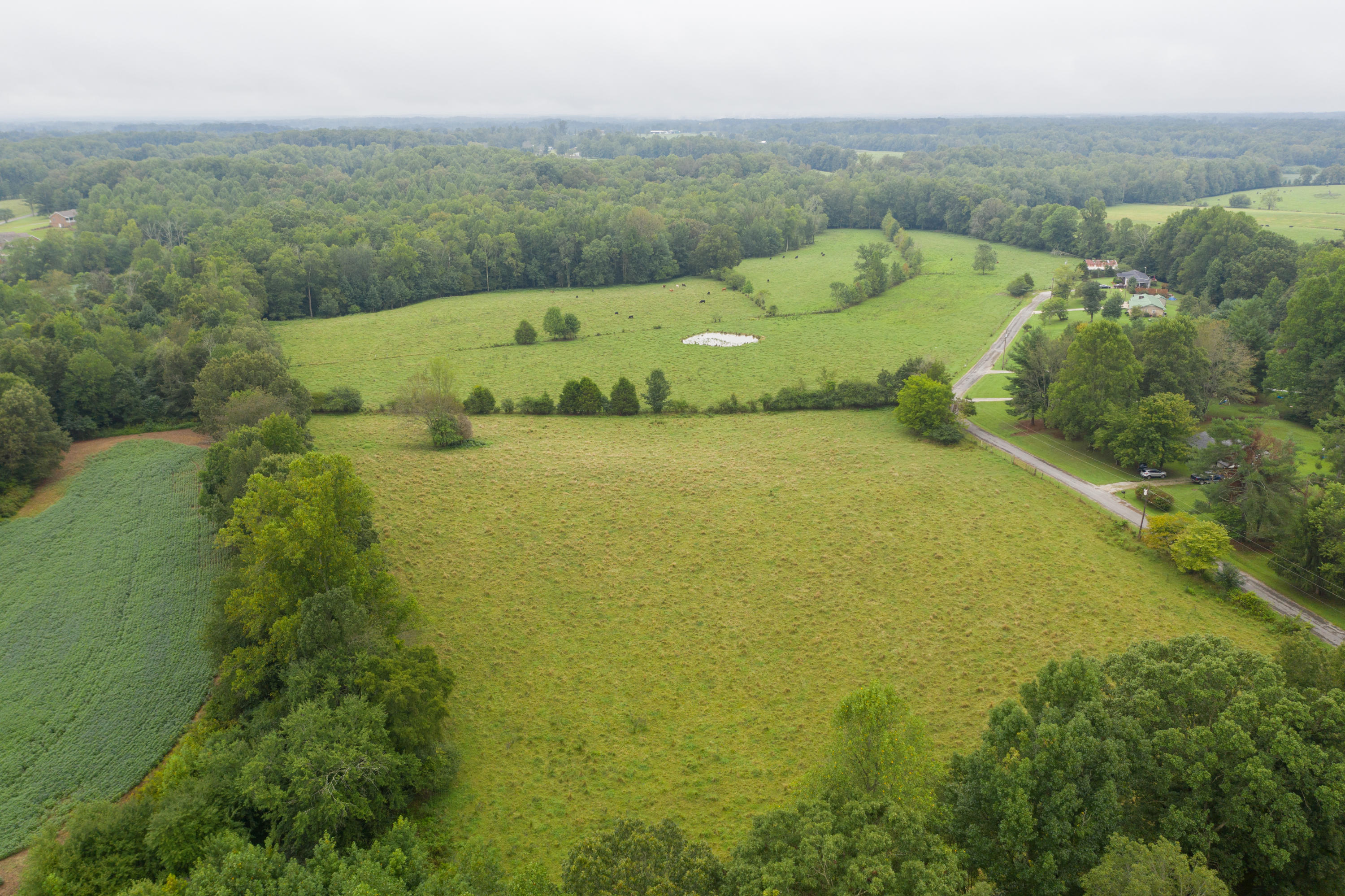 Southwest Gentry Drive Baxter, TN 38544 - Photo 3 of 11 DJI_0451