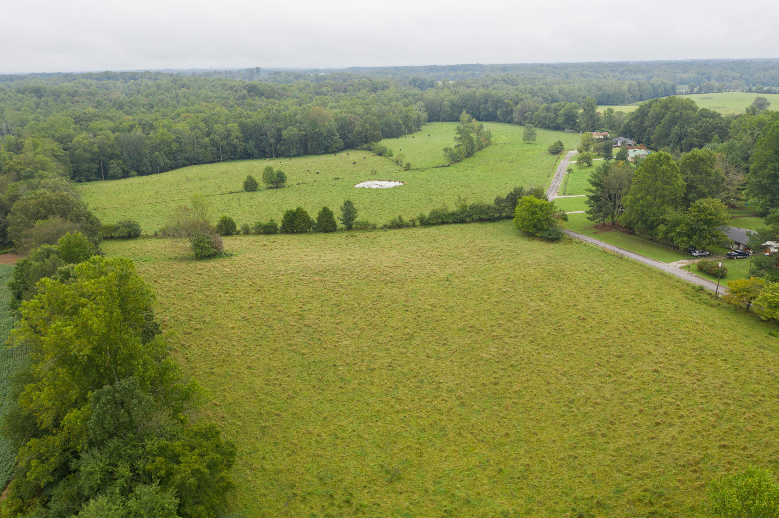 Southwest Gentry Drive Baxter, TN 38544 - Photo 4 of 11 DJI_0452