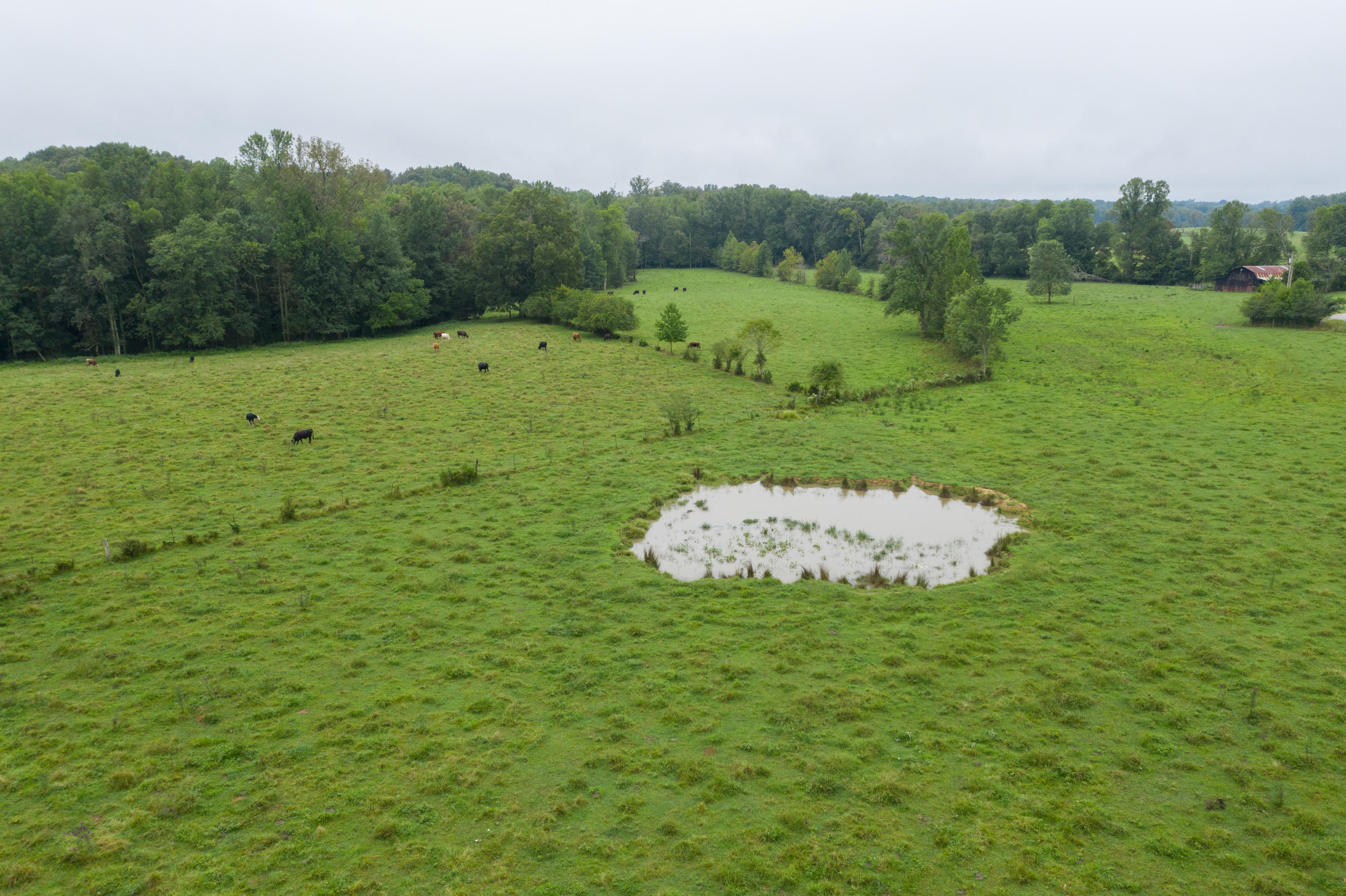 Southwest Gentry Drive Baxter, TN 38544 - Photo 6 of 11 DJI_0454