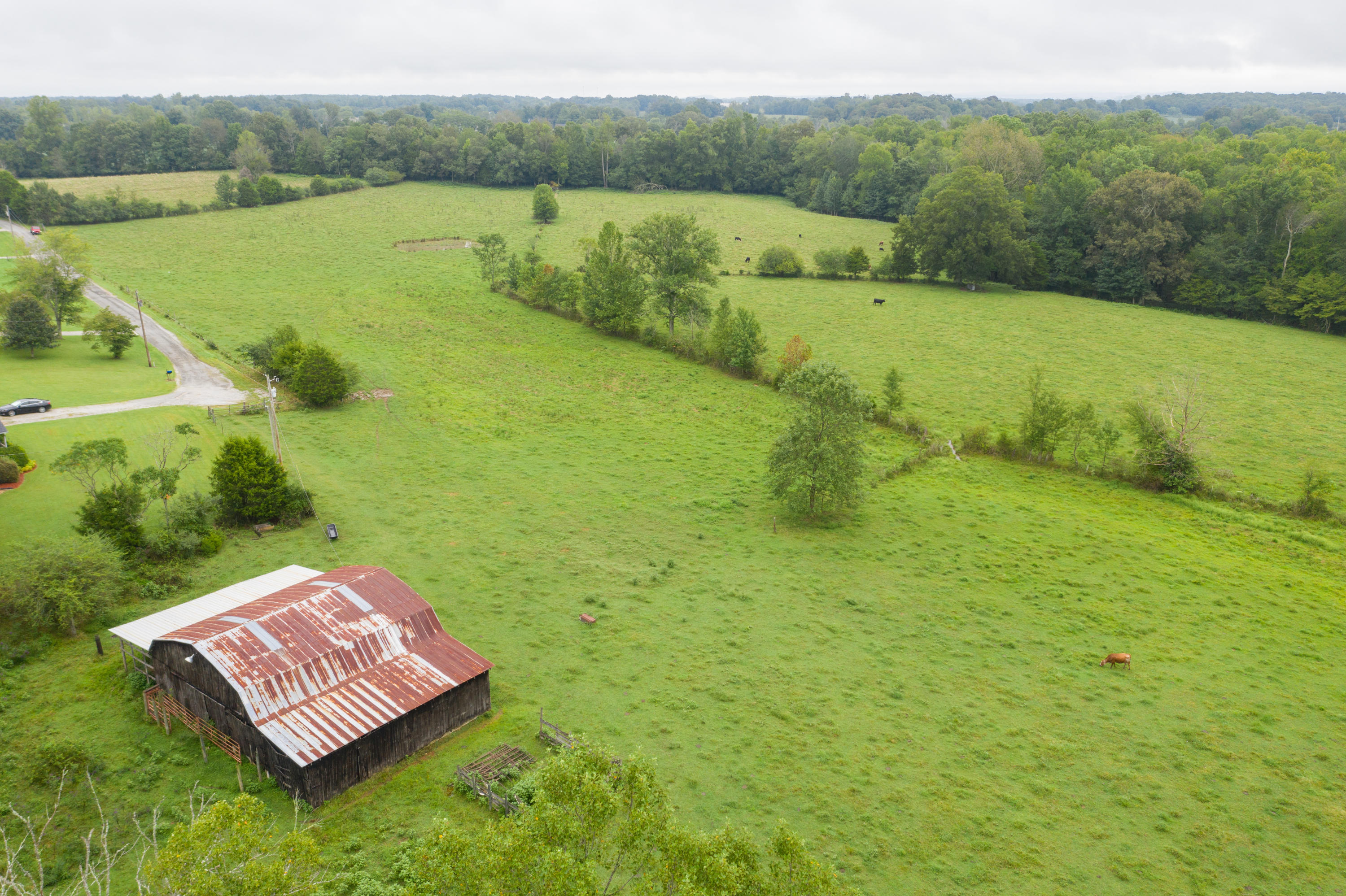 Southwest Gentry Drive Baxter, TN 38544 - Photo 7 of 11 DJI_0457