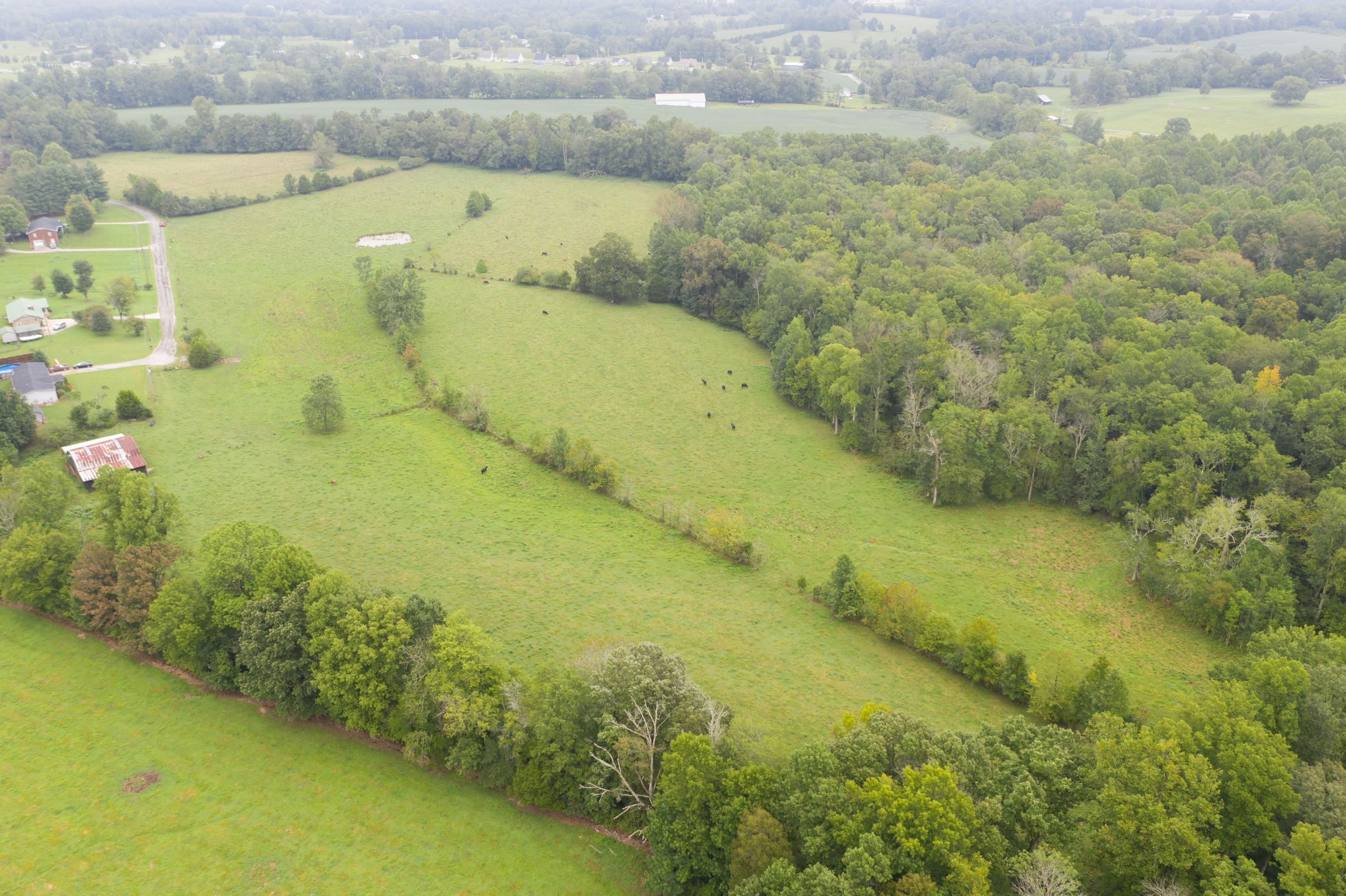 Southwest Gentry Drive Baxter, TN 38544 - Photo 8 of 11 DJI_0458