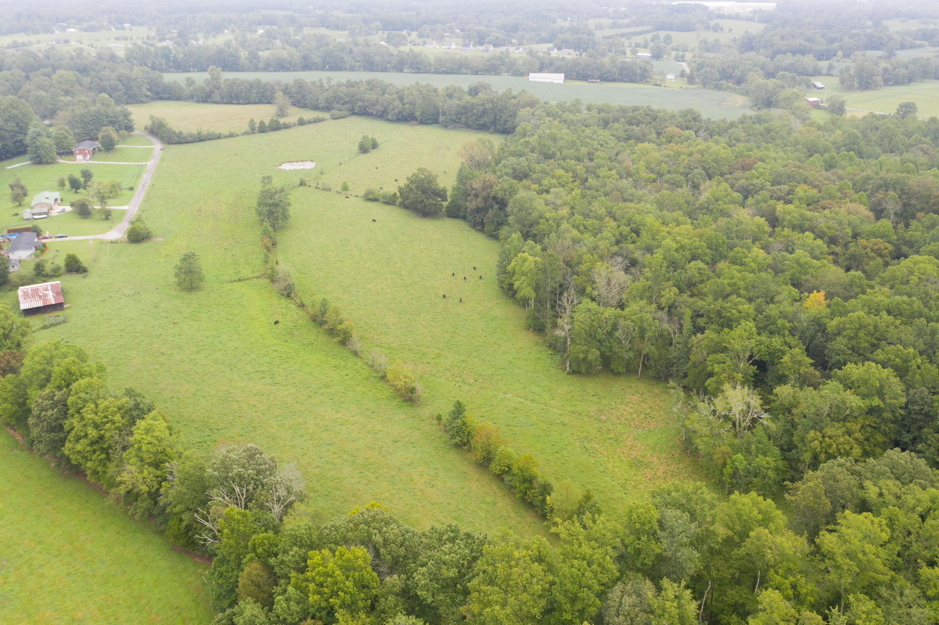 Southwest Gentry Drive Baxter, TN 38544 - Photo 9 of 11 DJI_0459