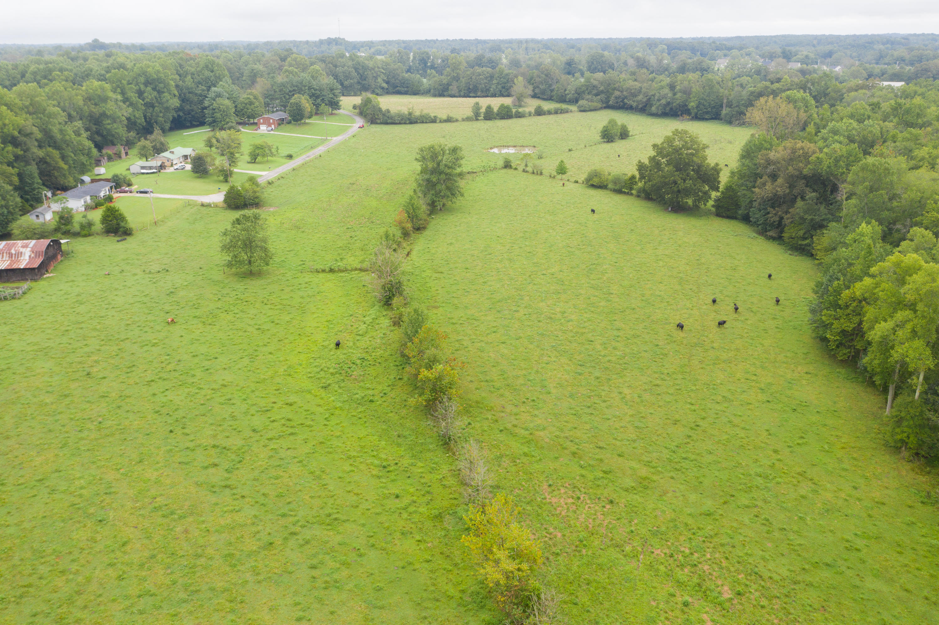 Southwest Gentry Drive Baxter, TN 38544 - Photo 10 of 11 DJI_0460