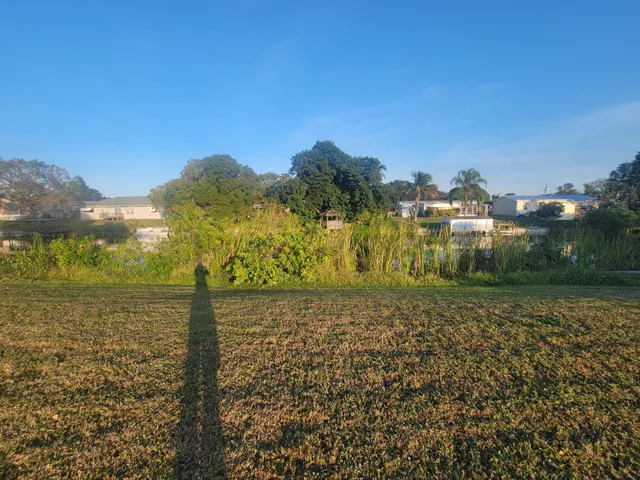 a view of a yard with an ocean