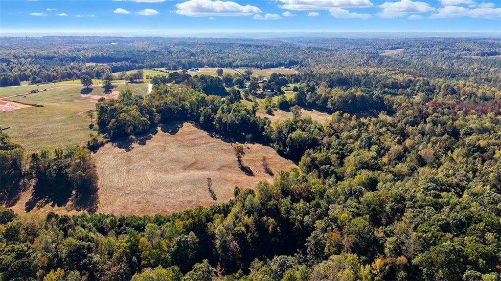 1075 Davis Road Carrollton, GA 30116 - Photo 15 of 23 a view of a city