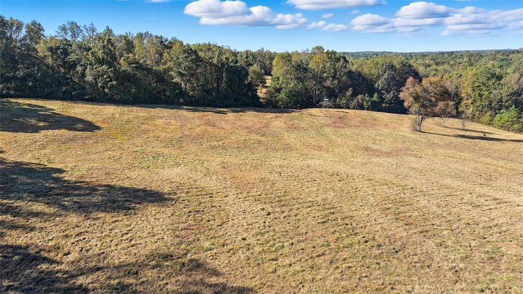 1075 Davis Road Carrollton, GA 30116 - Photo 17 of 23 a view of terrace with mountain view