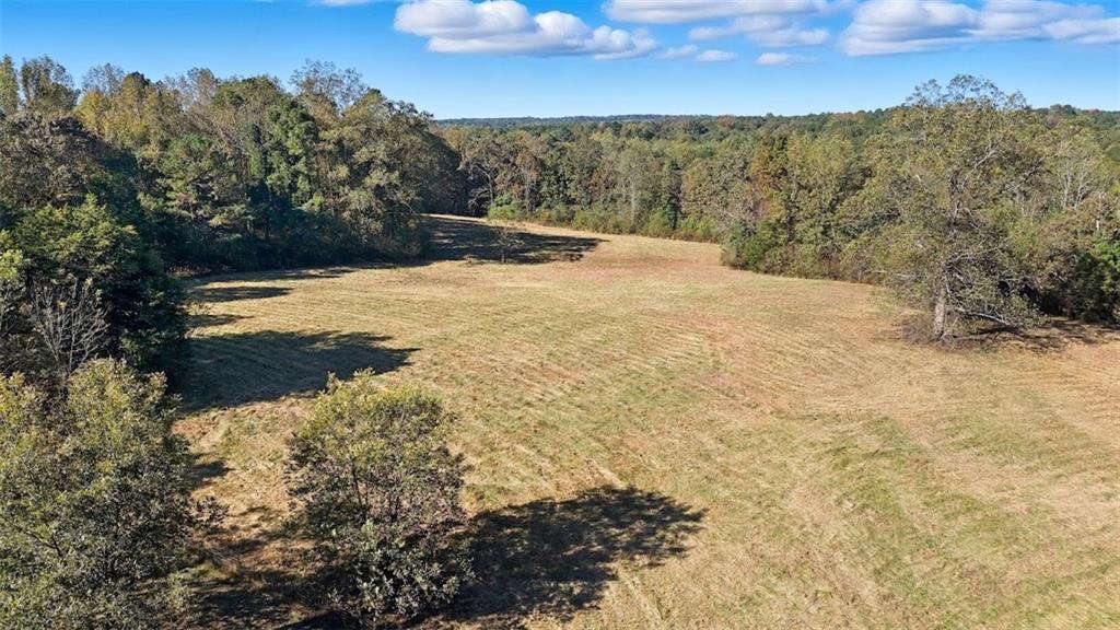 1075 Davis Road Carrollton, GA 30116 - Photo 19 of 23 a view of outdoor space and trees all around