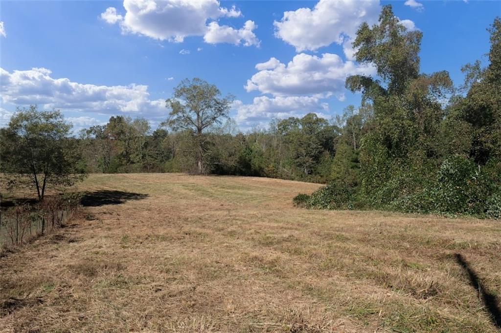 1075 Davis Road Carrollton, GA 30116 - Photo 20 of 23 a view of backyard with green space