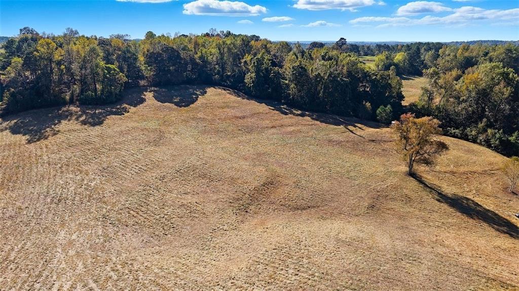 1075 Davis Road Carrollton, GA 30116 - Photo 3 of 23 a view of a backyard of a house