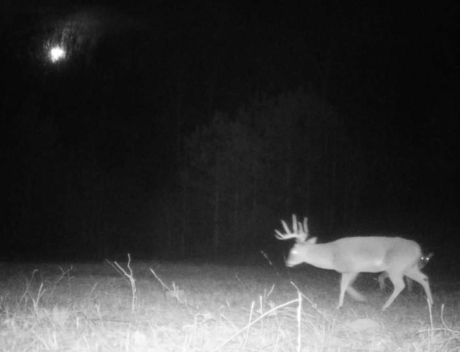 1075 Davis Road Carrollton, GA 30116 - Photo 7 of 23 a view of a chairs and table in a room