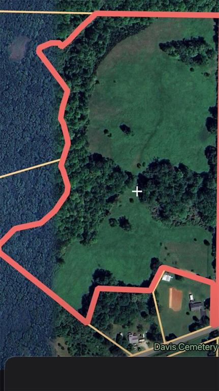 1075 Davis Road Carrollton, GA 30116 - Photo 10 of 23 a view of a back yard