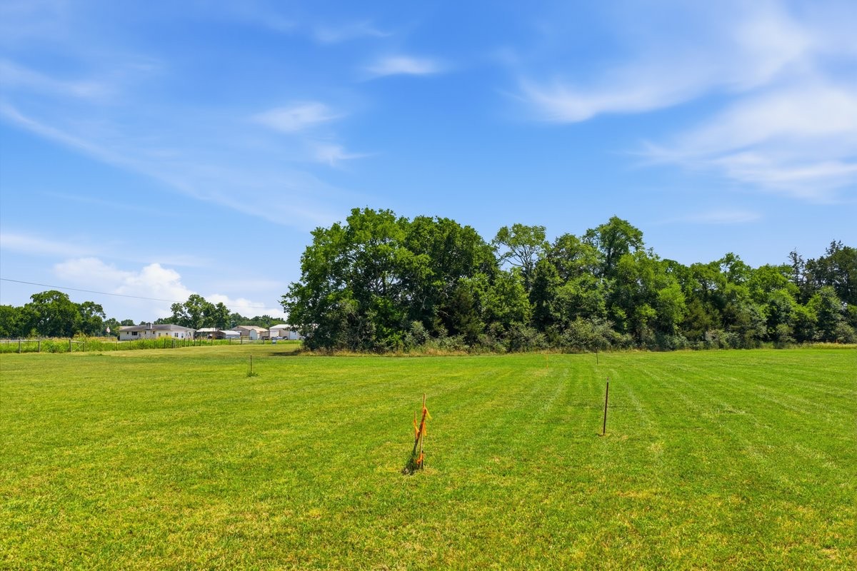 0 Cedar Grove Road Chapel Hill, TN 37034 - Photo 4 of 13 Gallery Image 4