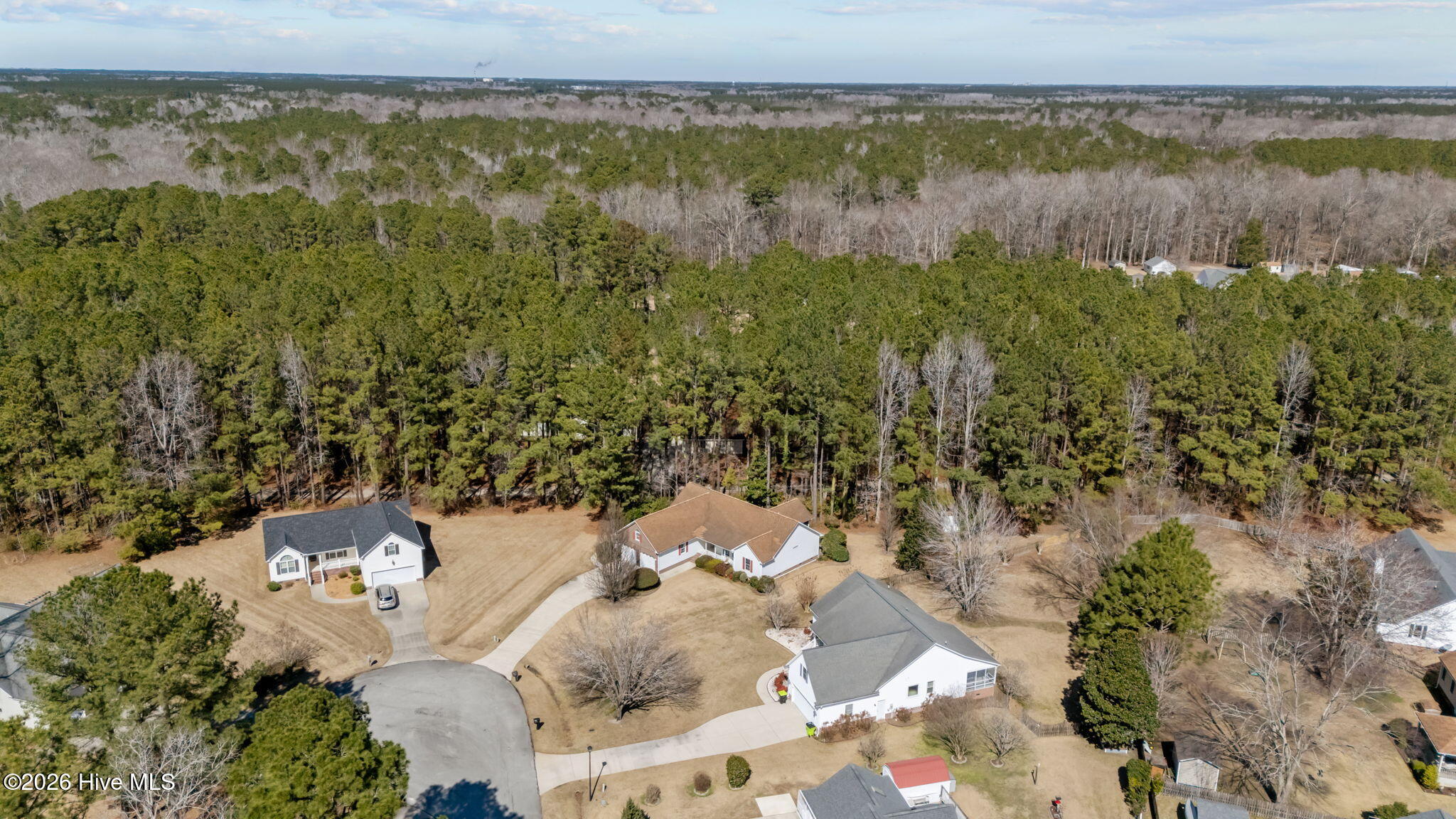 205 Dobbs Spaight Road New Bern, NC 28562 - Photo 6 of 49 Park like setting