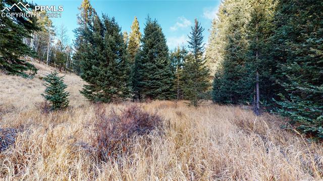 600 Elk Ridge South Divide, CO 80814 - Photo 3 of 3