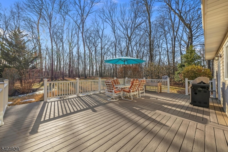 65 Wehrli Road Long Valley, NJ 07853 - Photo 37 of 48