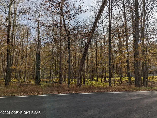 a view of a park with large trees