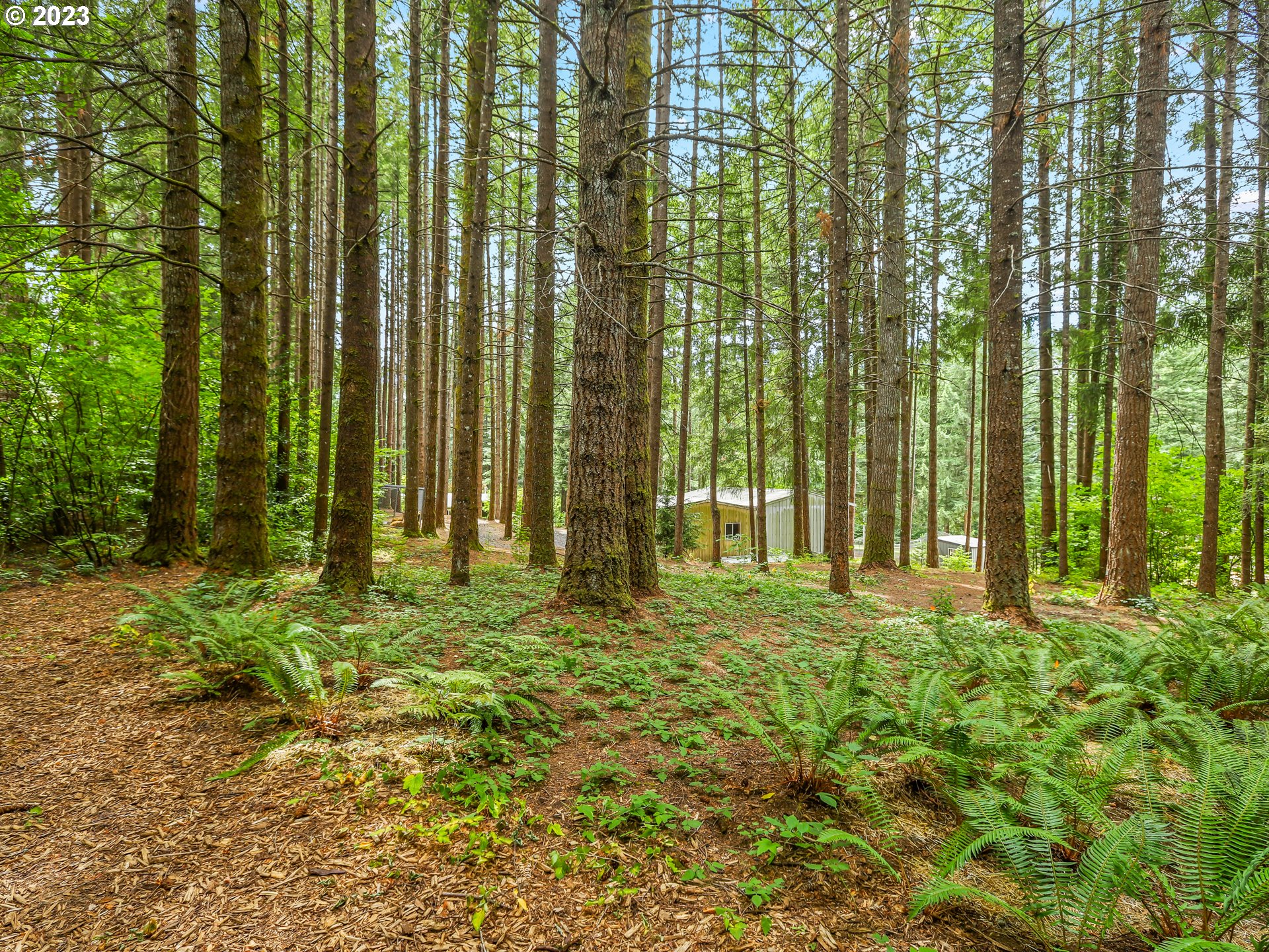 25875 South Morgan Road Estacada, OR 97023 - Photo 36 of 36 a view of outdoor space with garden