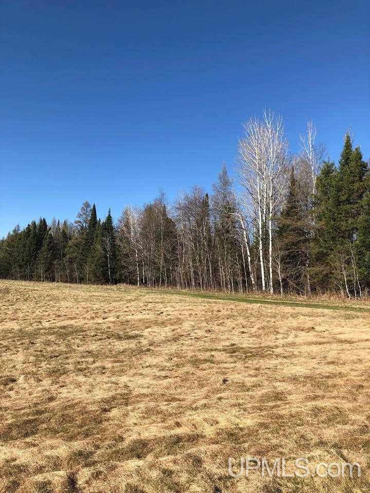 Tbd Ee 25 Road Rapid River, MI 49878 - Photo 6 of 14