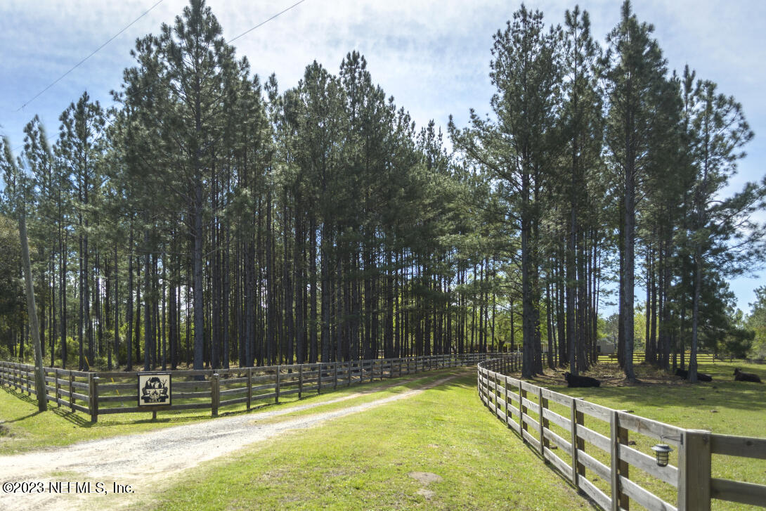 37491 Poole Road Hilliard, FL 32046 - Photo 3 of 39 a view of a tennis court with large trees
