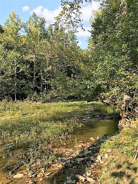 103-acres Sipple Road Dry Ridge, KY 41035 - Photo 13 of 21