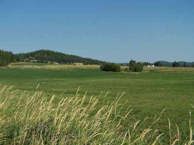 Lot 1 Swiss Valley Road Addy, WA 99101 - Photo 1 of 1