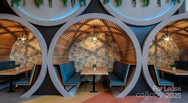 $1,507 | 1015 North Alexander Street, Unit A0, Charlotte, NC 28206