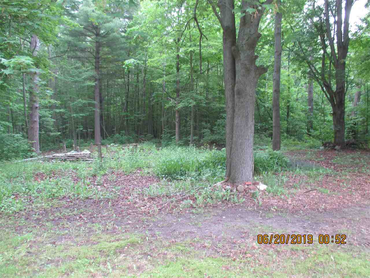 3736 Darton Road Hale, MI 48739 - Photo 16 of 24 1863201-15.JPG