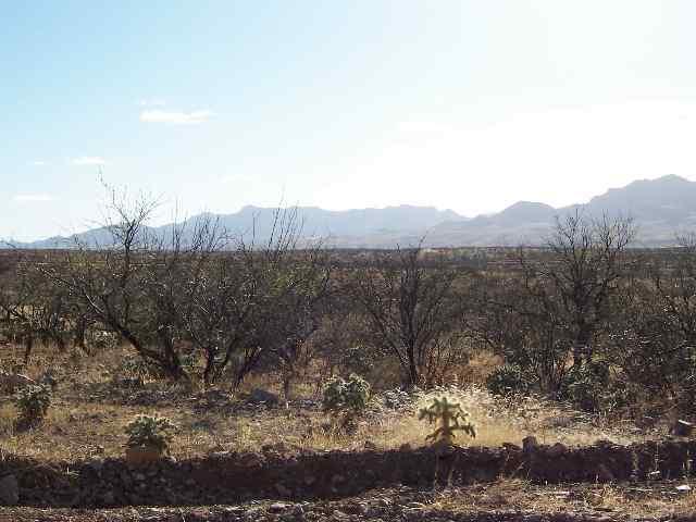 1806 Círculo Tortuga Rio Rico, AZ 85648 - Photo 1 of 3