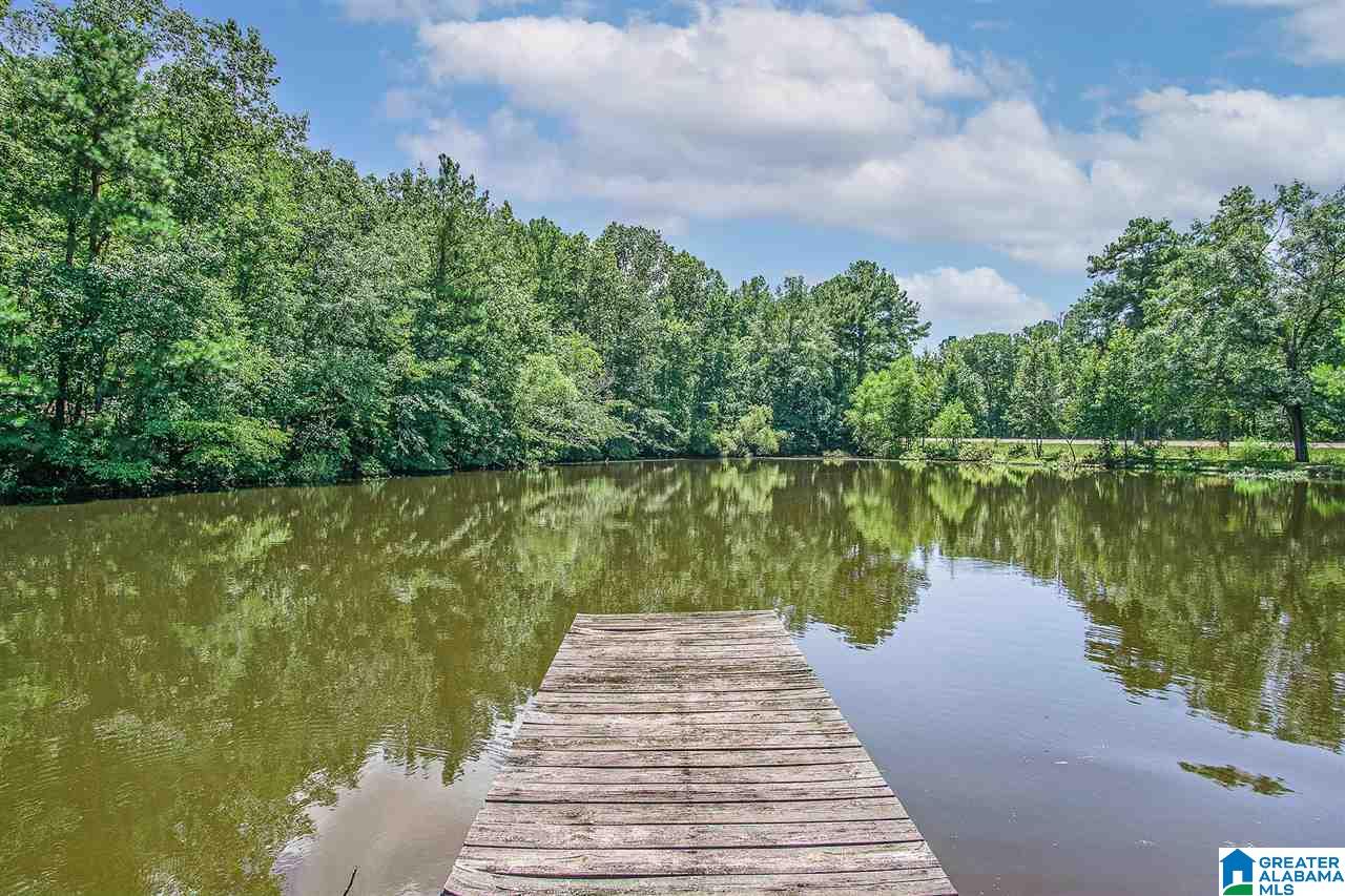 29200 Highway 31 Calera, AL 35040 - Photo 38 of 50