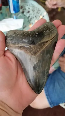 a view of a lake with houses in background