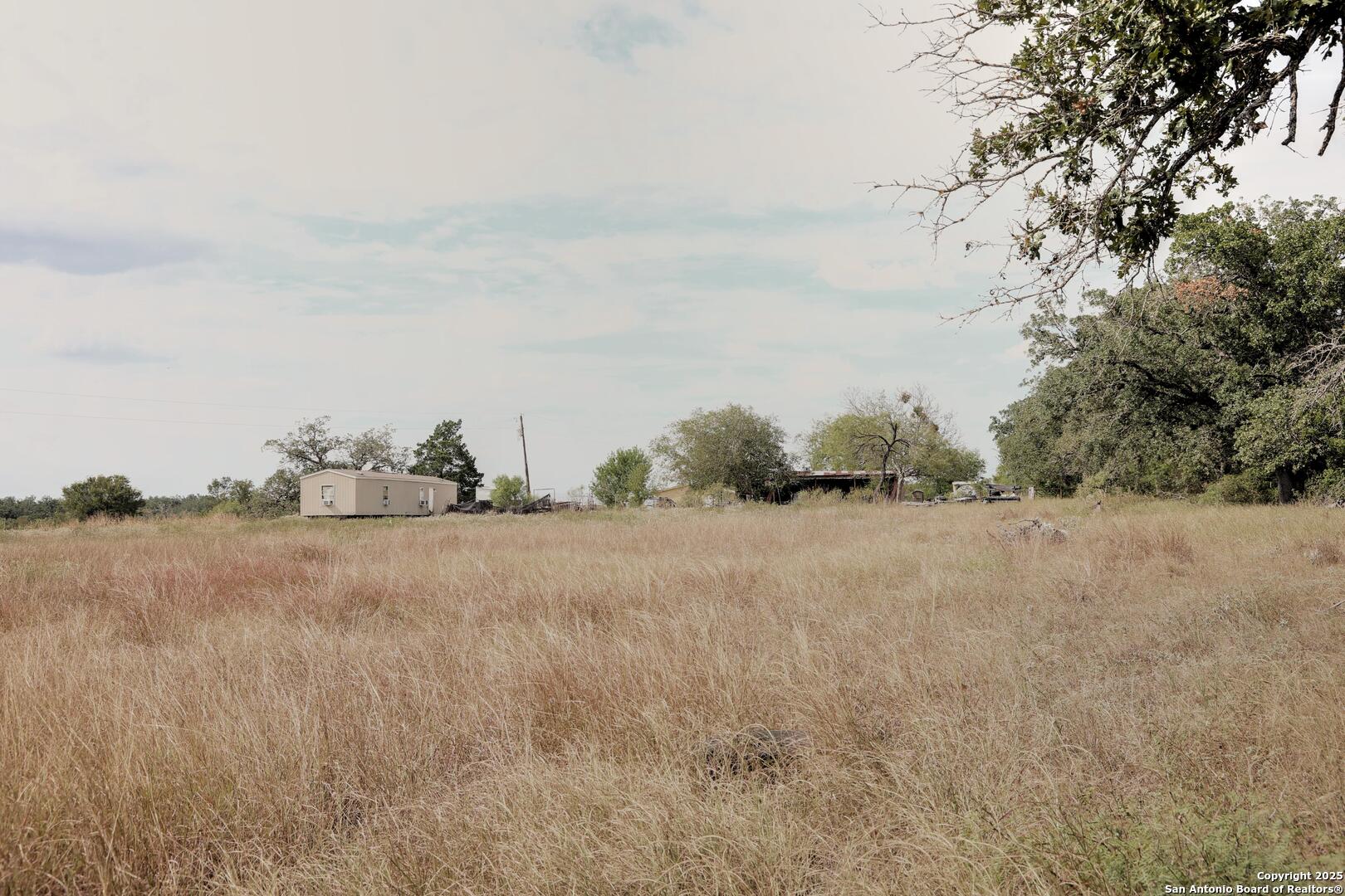 81 Sandy Creek Road Dale, TX 78616 - Photo 11 of 22 a view of a dry yard and trees